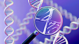 Timeline: Historia de la Genética