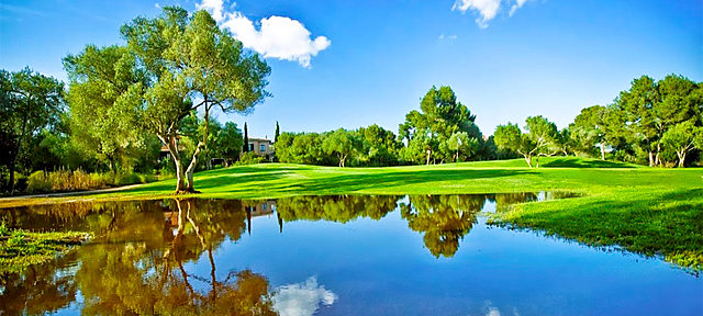 Cumbre de las Naciones Unidas