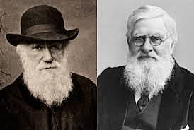 Charles Darwin, Alfred Russel Wallace