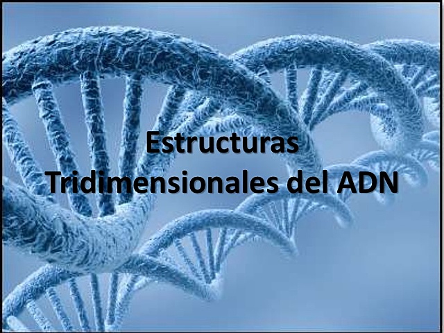 Francis Crick, James Watson