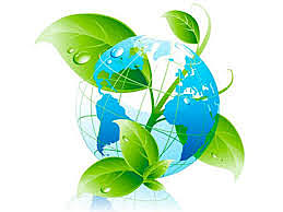 V Programa de Acción en Materia de Medio Ambiente de la Unión Europea