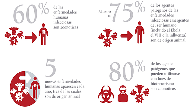 Dinámica general de la enfermedad.