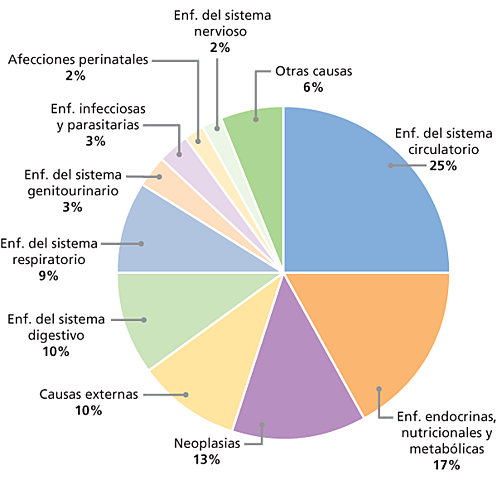 LAS ENFERMEDADES MAS FRECUENTES