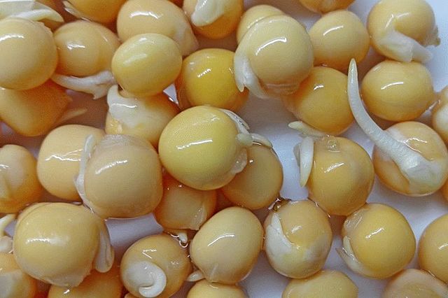 Набухание семян