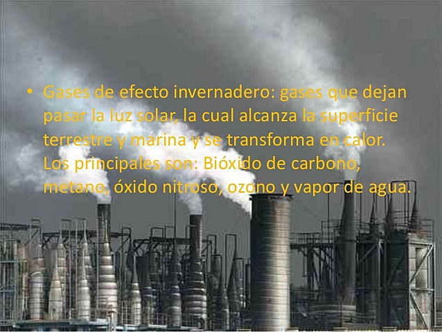 PROTECCIÓN MEDIO AMBIENTE