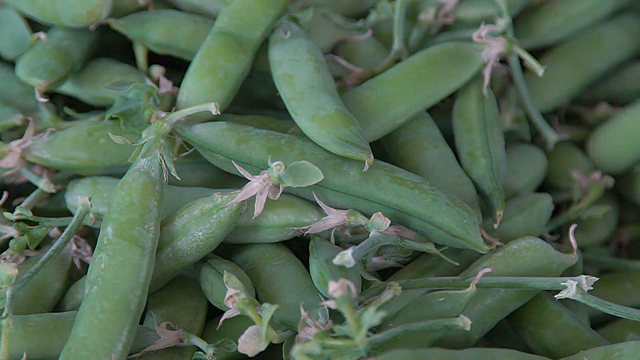 Полная спелость