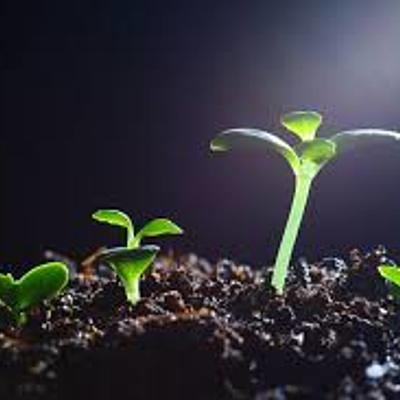 Timeline: mi autobiografia