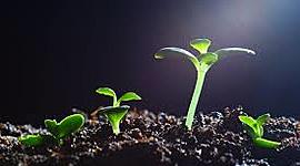 Timeline: mi autobiografia