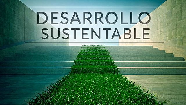 Término Desarrollo Sustentable