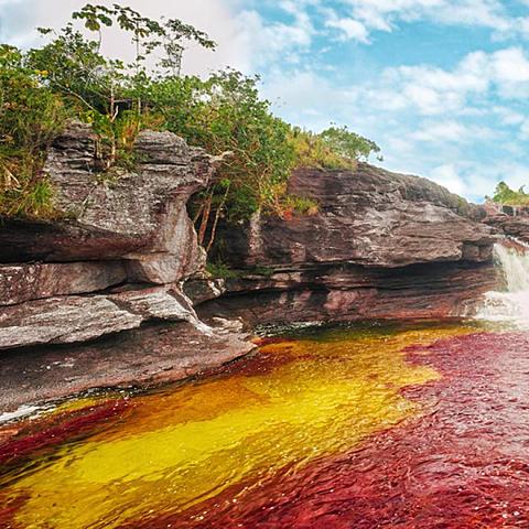 Resolución 3860 de 2015