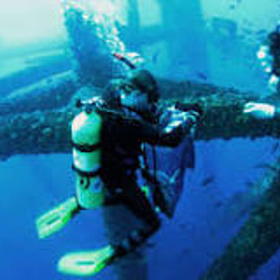 Timeline: History of Marine Biology