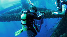 Timeline: History of Marine Biology