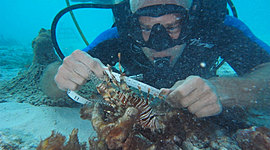 Timeline: The history of Marine Biology