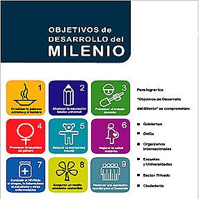 Cumbre de las Naciones Unidas sobre los Objetivos de Desarrollo del Milenio