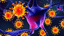 Timeline:  es un agente infeccioso microscópico acelular que solo puede multiplicarse dentro de las células de otros organismos. Los virus son demasiado pequeños para poder ser observados con la ayuda de un microscopio óptico,