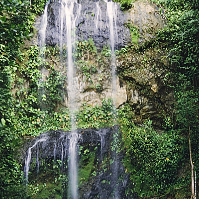 Timeline: Problemática ambiental de la producción y consumo de recursos naturales a nivel global