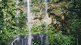 Timeline: Problemática ambiental de la producción y consumo de recursos naturales a nivel global