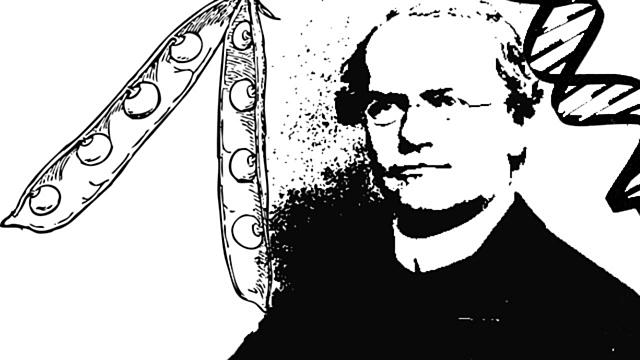 DE VRIES, CORRENS Y TSCHEMARK, DESCUBREN LEYES DE MENDEL