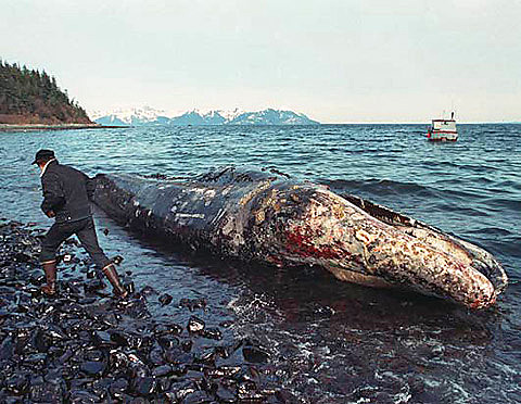Marea negra del Exxon Valdez