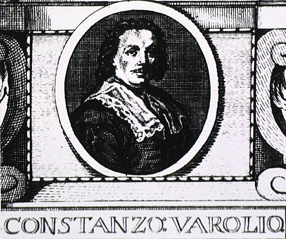 CONSTANZO VAROLIO