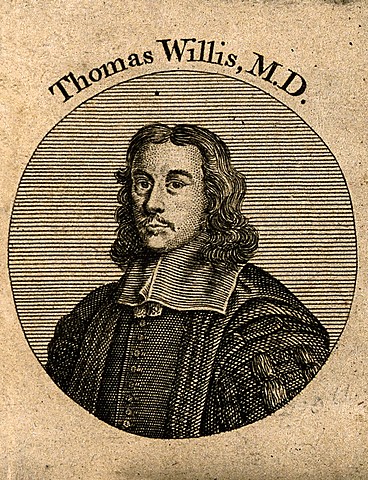 THOMAS WILLIS