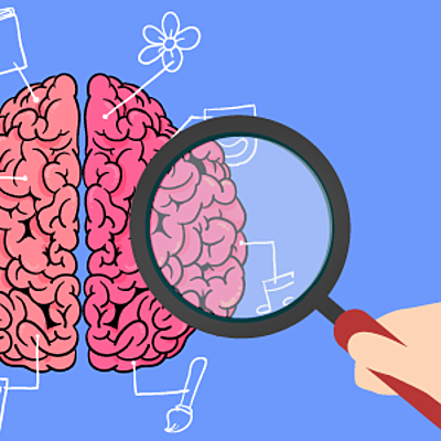 Timeline: LAS NEUROCIENCIAS DE LA CONDUCTA, UN VIAJE QUE NO SE DETIENE