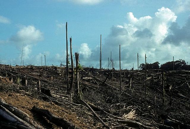 Sobre explotación de los recursos naturales