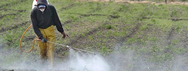 Uso de fertilizantes químicos y métodos artificiales de cultivo