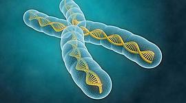 Timeline: Historia de la genética hasta nuestros dias