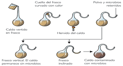 Louis Pasteur y su aportación