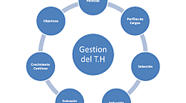 Timeline: Evolución histórica GTH: SIGLO XX