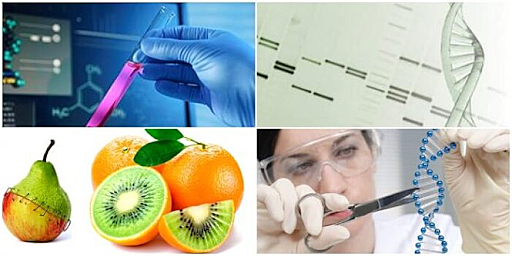 Ingieniería genética