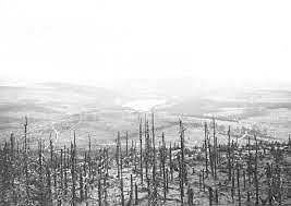 Barcos utilizados para transportar carbón