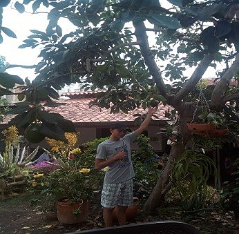 Cuando aprendí a bajar aciguate