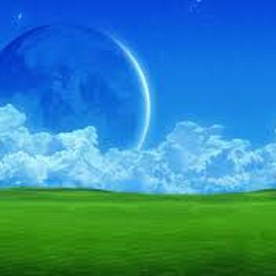 Timeline: Educacion a distancia