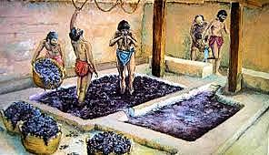 8000 A.c desarrollo de la fermentación