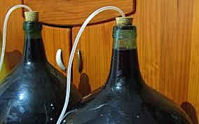 descubrimiento de la fermentación