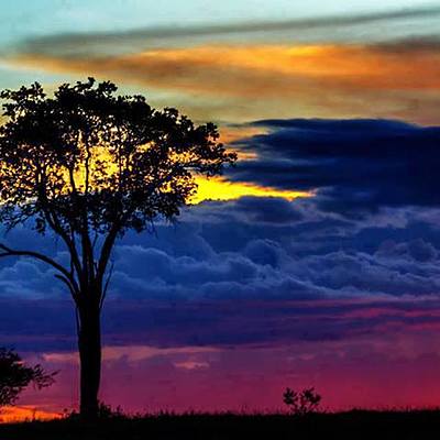 Timeline: Independencia de Colombia