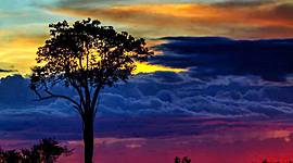 Timeline: Independencia de Colombia