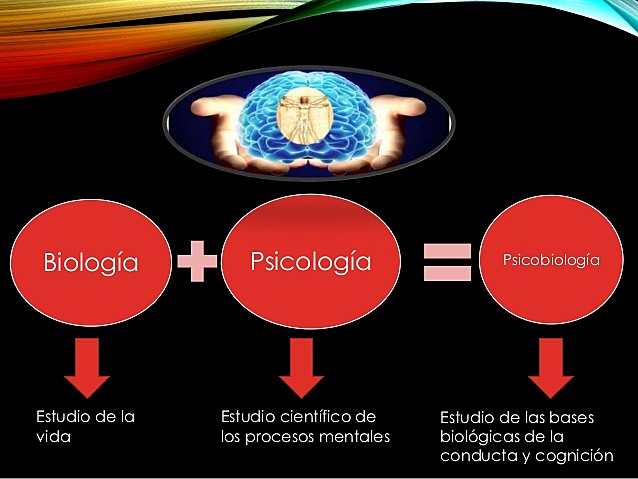 Psicobiologia