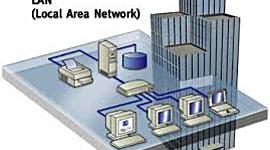 Timeline: ADAPTACIÓN