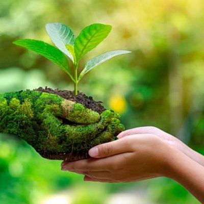 Timeline: Historia de la problemática ambiental