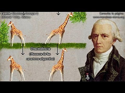 JEAN-BAPTISTE LAMARCK