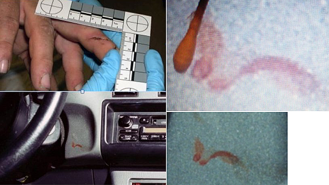 Motion for Post-Conviction Scientific Testing