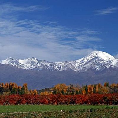 Timeline: Le cycle végétatif de la vigne
