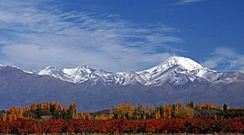 Timeline: Le cycle végétatif de la vigne
