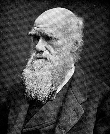 Origen de las especies.Charles Darwin: mostro que las especies mantienen un parentezco a travez de las generaciones.