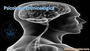 Colombia:&nbsp;Psicología Criminológica