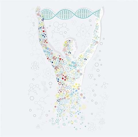 Nacimiento de la genetica como tal: fue por la intervencion de tres botanistas.Brise Corems y jamanak,concluyeron los mismo que mendel y los publicaron.