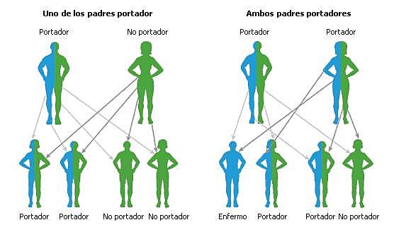 se formo una idea diferente, se planteo que el ambiente podia cambiar los caracteres hereditarios